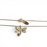 Collar Libélula Enchapado en Oro 18K